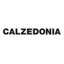 Toate reducerile Calzedonia