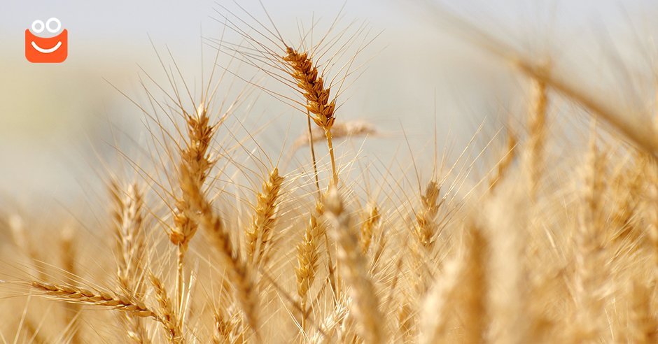 Știți cum să depistați alergia la gluten?