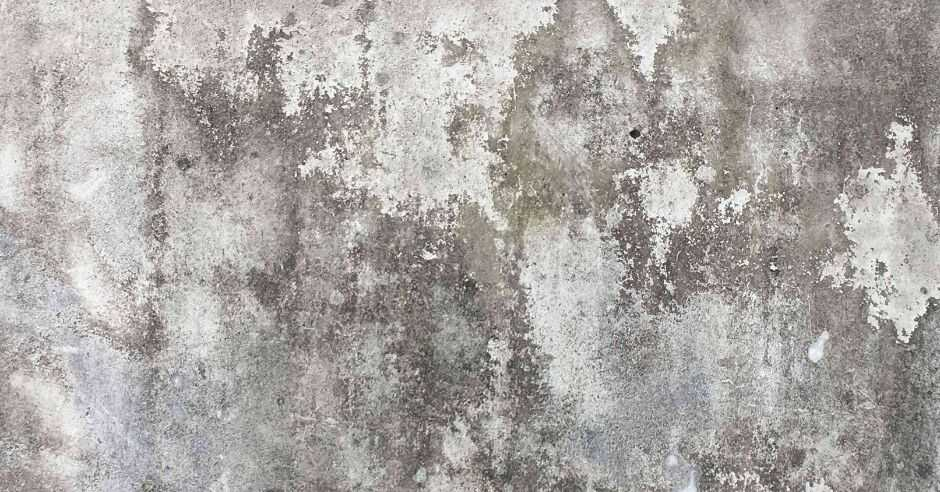 Mucegaiul pe pereți vă face probleme? Eliminați-l fără produse scumpe