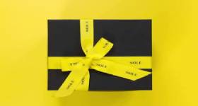 Sole Transport gratuit la plata cu cardul pe Soleshop.ro