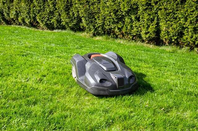 curte cu iarbă verde proaspăt tunsă de robot