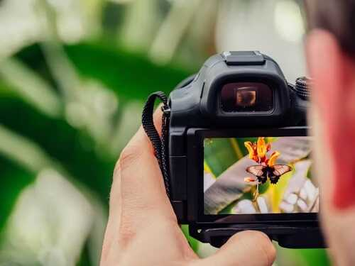 aparat foto profesinal