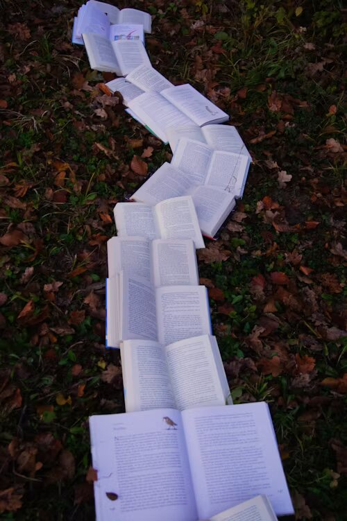 editura diana oferte