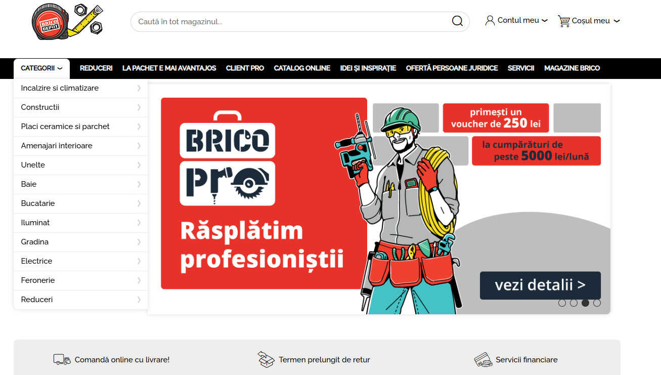 brico depot reduceri