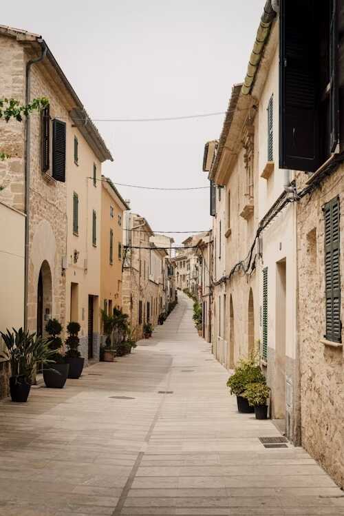 stradă pietonală fără pietoni cu plante în ghivece