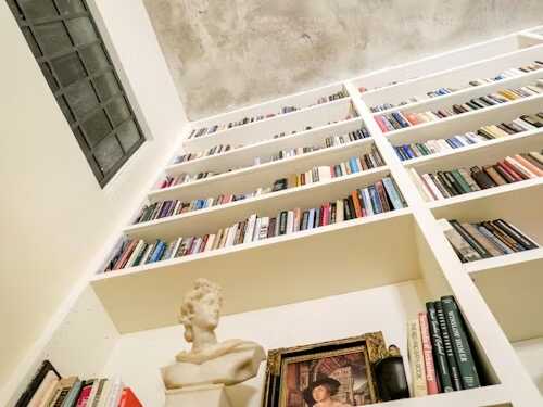 biblioteca plina cu cărți si statuie bust