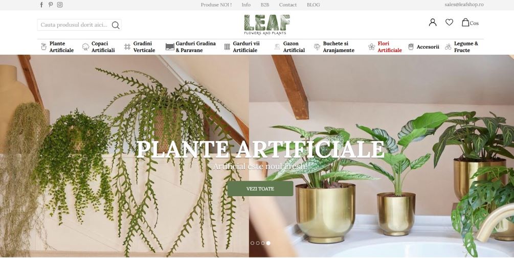 screen magazin online plante artificiale
