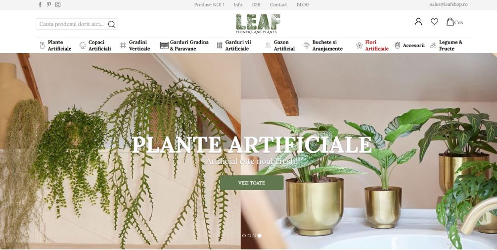 screen magazin online plante artificiale