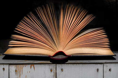 stylished books cupon