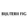Bijuterii FIG