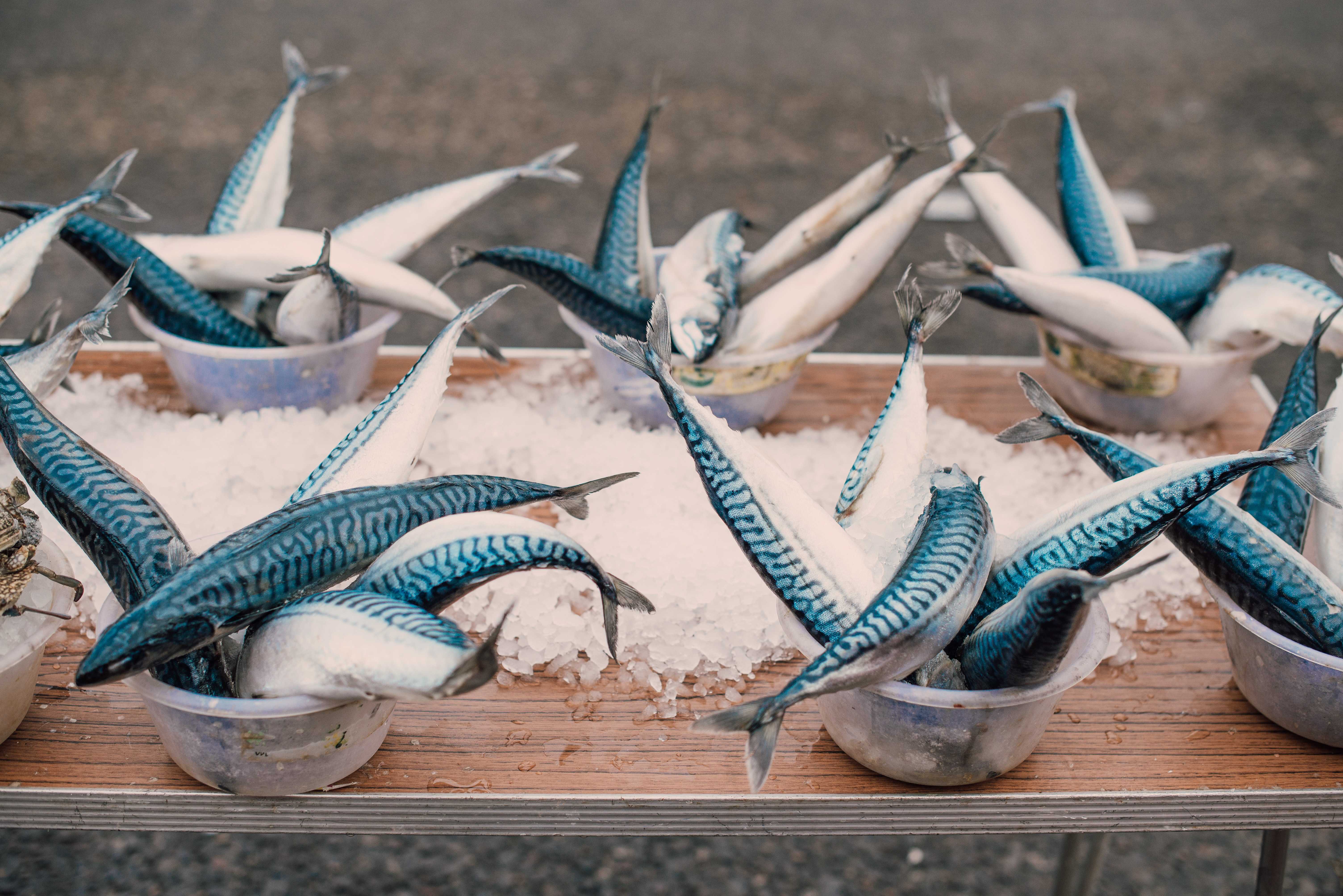 promotii freshful