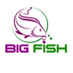 Big Fish