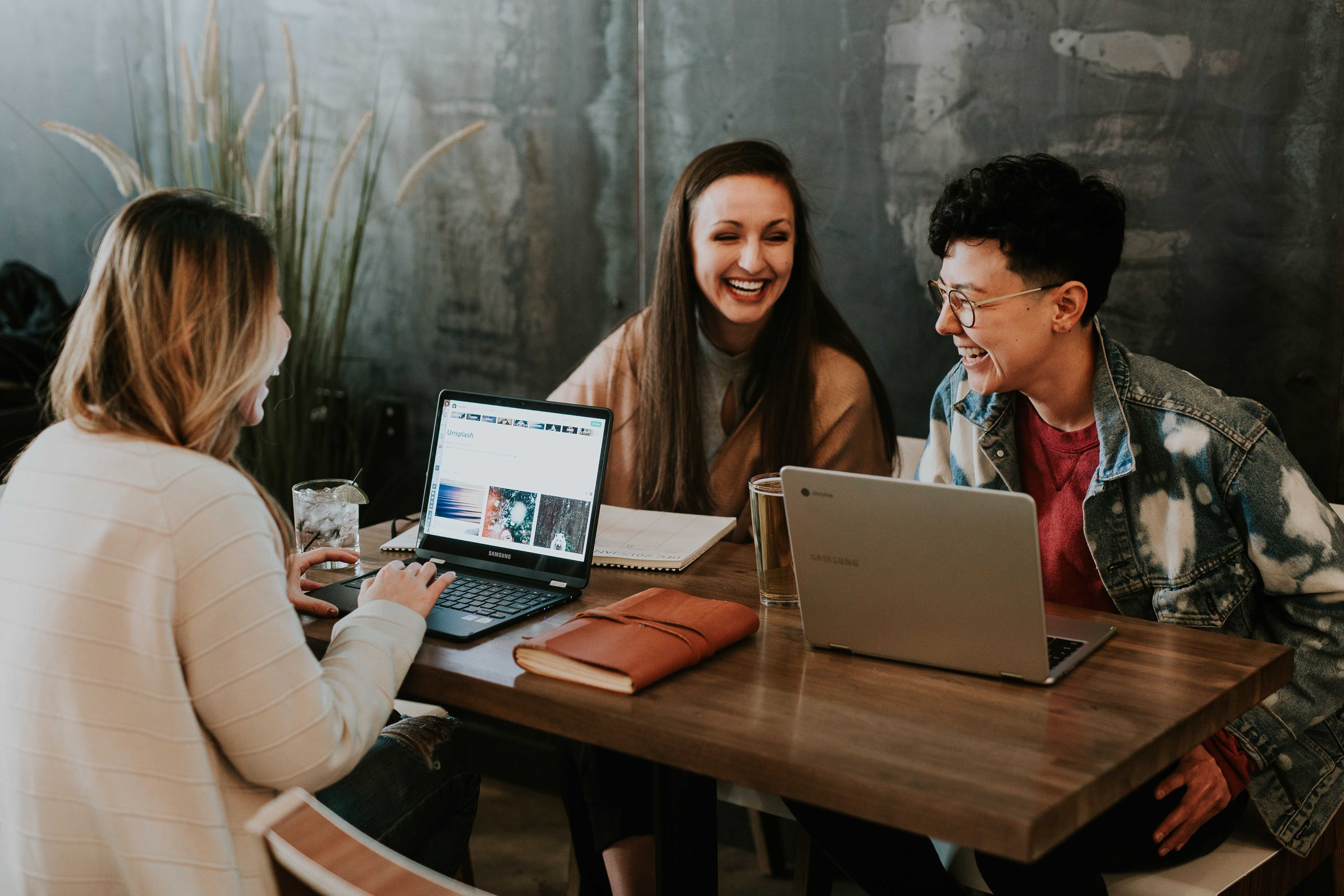 promotii udemy