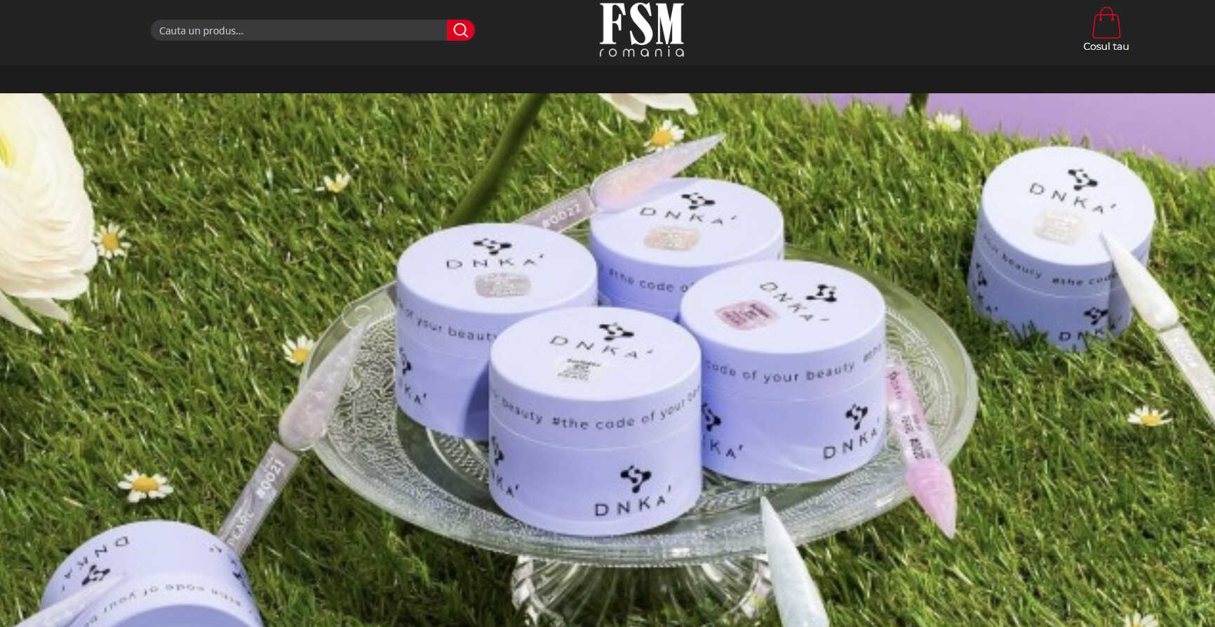 screen fsm romania