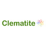 Clematite