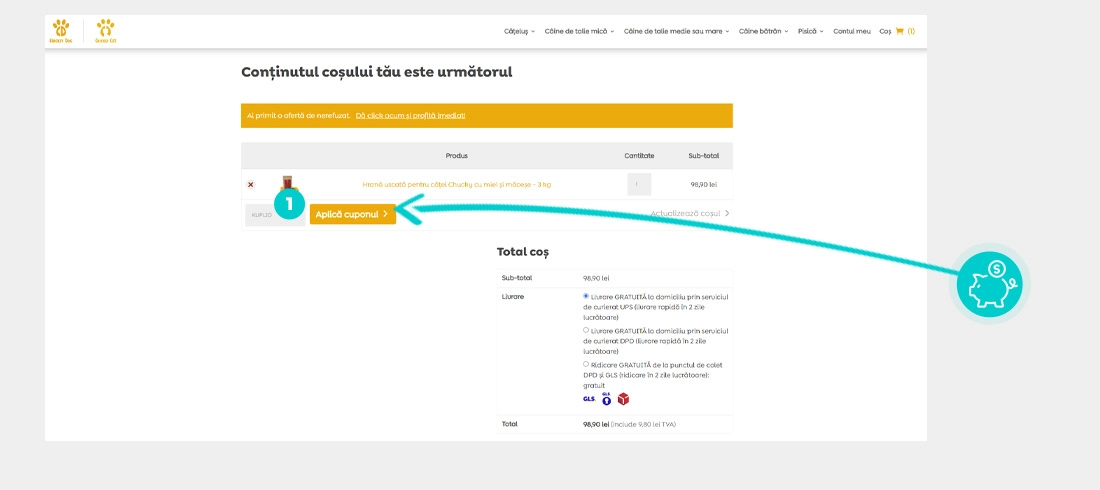 Instrucțiuni privind aplicarea cod reducere în coșul de cumpărături al Cricksy Dog