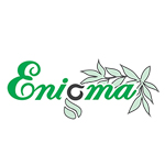 Enigma