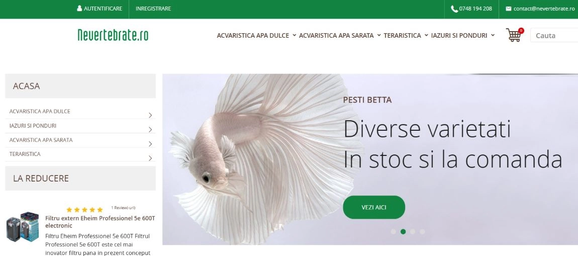 screen magazin online