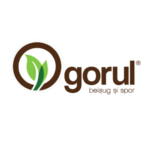 Ogorul