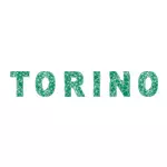 Toate reducerile Torino