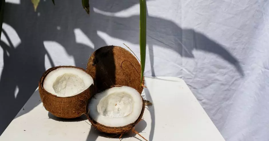 nuci-de-cocos