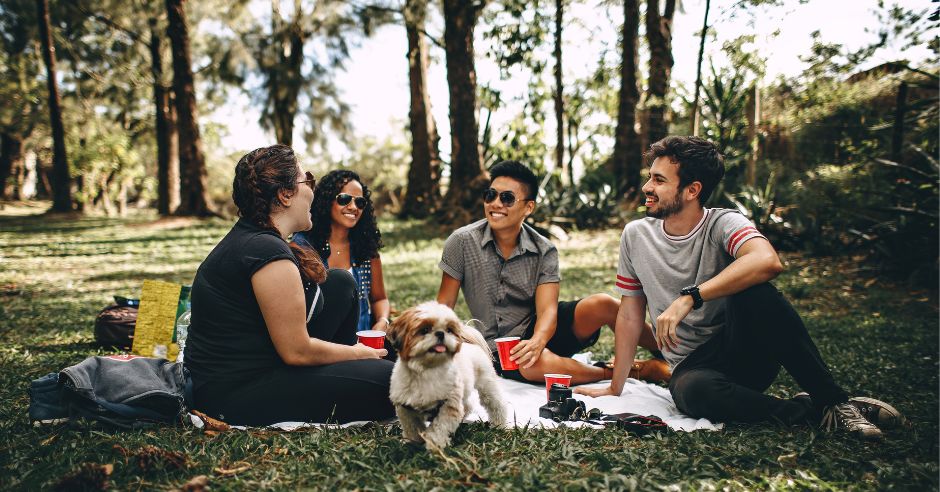 prieteni-picnic-padure