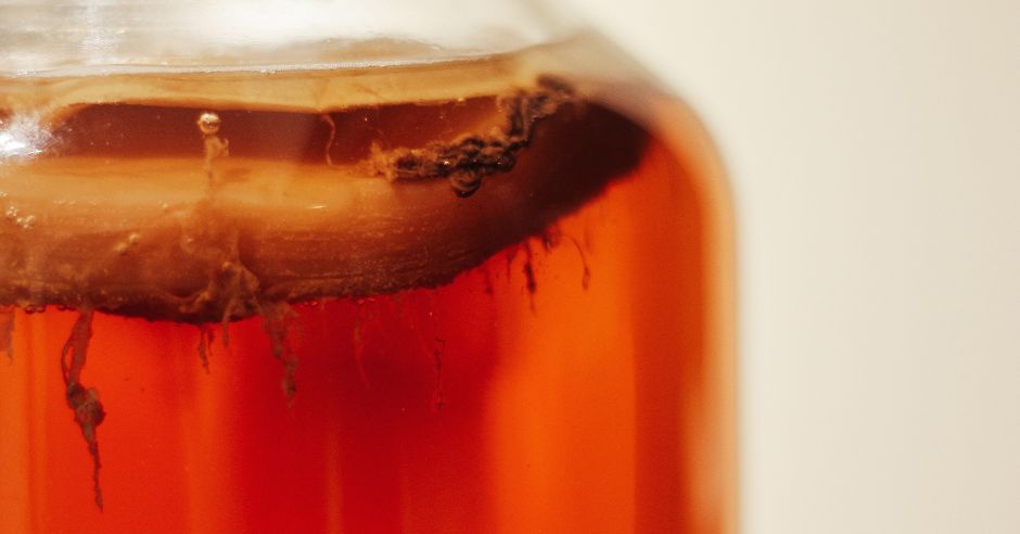kombucha in pahar