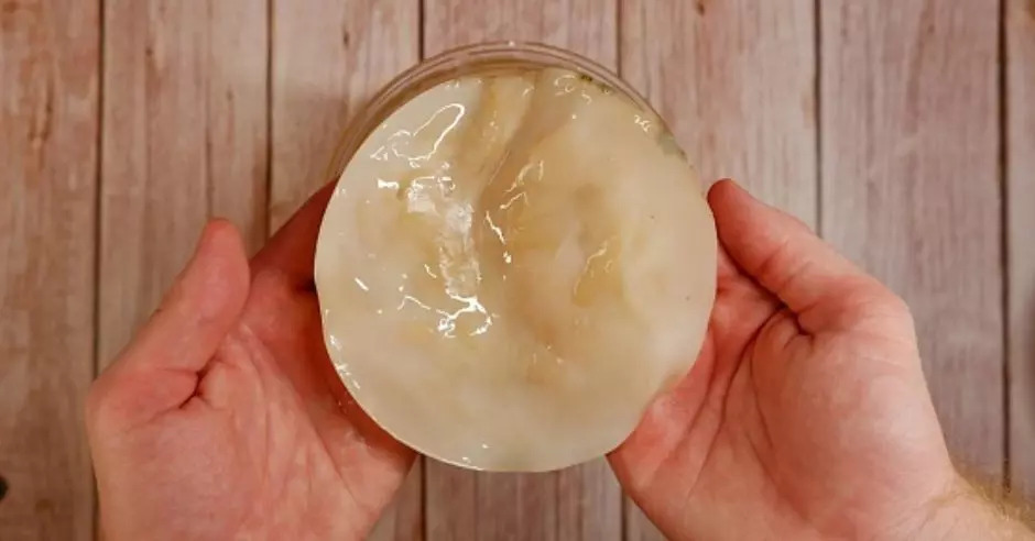 kombucha in maini