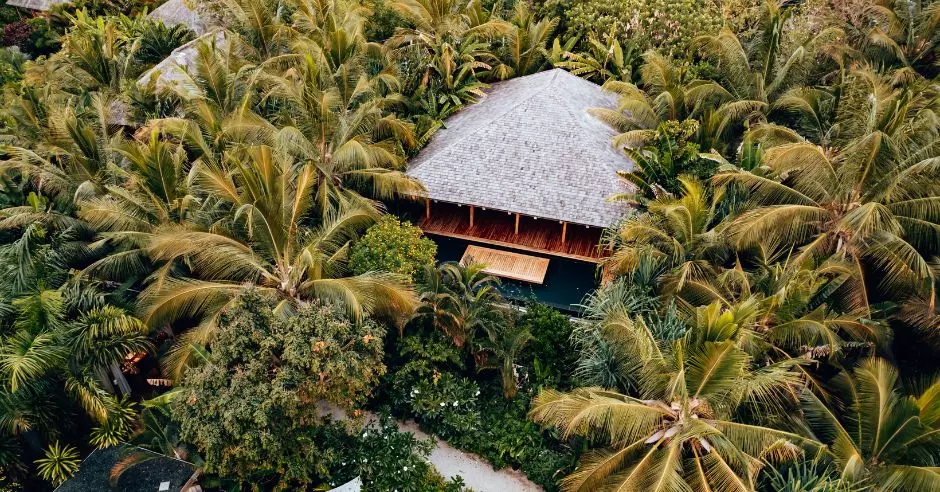 casa palmieri
