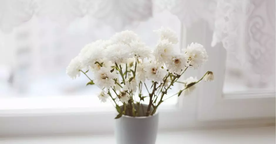 crizanteme-vaza-flori